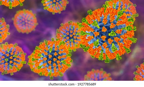 Measles Viruses, 3D Illustration Showing Viral Surface Glycoprotein Spikes Heamagglutinin-neuraminidase (orange) And Fusion Protein (green)