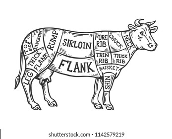 牛肉 部位 の画像 写真素材 ベクター画像 Shutterstock