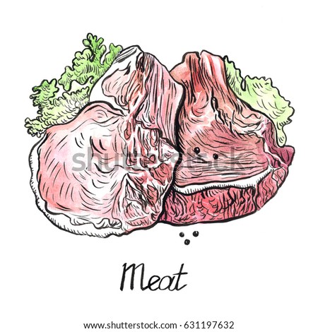 Meat and lettuce leaves, hand painted illustration, watercolor and ink outline