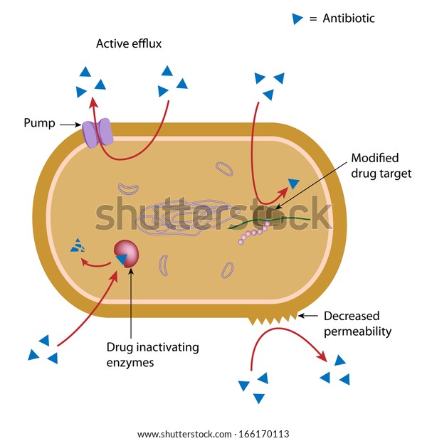what is cccp used for in bacteria researchgate what is cccp used for in bacteria researchgate