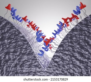 Mechanism Of Chemical Self Healing Material 3d Rendering