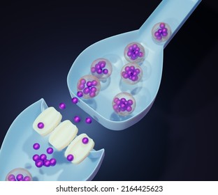 Mechanisms And Regulation Of Dopamine Release In The Neuron Brain Cell 3d Rendering