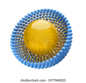 Medical 3D illustration of a monolayer micelle structure with a fat-soluble molecule inside the particle and one tail pointing inwards. Isolated on white background