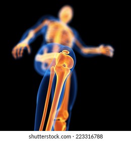 Medical 3d Illustration Of Skeletal Knee