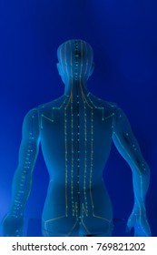 Medical acupuncture model of human 3D illustration on blue background
