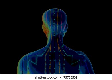 Medical acupuncture model of human  on black background