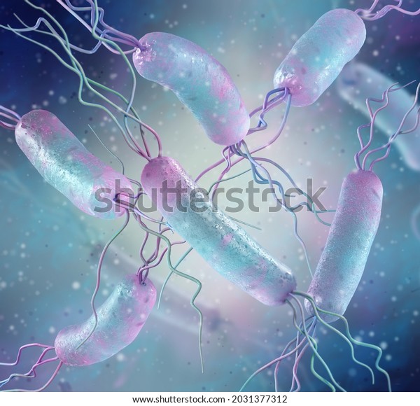 Medical Background Amphitrichous Bacteria Two Flagella Stock ...