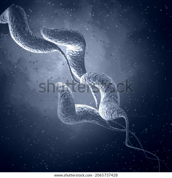 Medical Background Bacteria Spirilla Curved Spiral Stock Illustration 2065737428 Shutterstock 4882