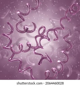 spirochetes gram stain