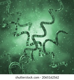 Medical Background, Bacteria Spirochetes Unicellular Gram-negative Spiral Form, Genus Treponema, Causative Agent Of Syphilis, Dangerous Pathogen, 3D Rendering