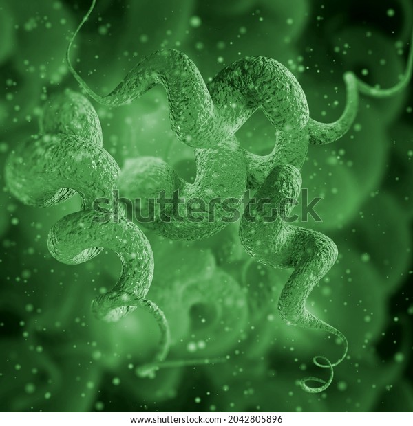 Medical background, Campylobacter spiral\
gram-negative microaerophilic mobile bacterium, pathogen, causative\
agent of infectious diseases of the small intestine\
campylobacteriosis, 3D\
rendering