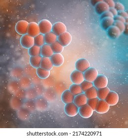 Medical Background, Staphylococcus Bacteria Gram-positive Aerobic Microorganisms, Cause Skin Infections, Pneumonia, Endocarditis And Osteomyelitis, Abscess, 3d Rendering