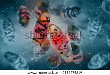 Medical background, Yersinia pestis a species of gram-negative bacteria from the Yersiniaceae family, infectious agent of bubonic plague, causes plague pneumonia and septicemic plague, 3d rendering Stockfoto © 