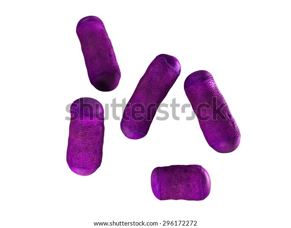 Medical Bacteria Illustration Lactobacillus Stock Illustration ...