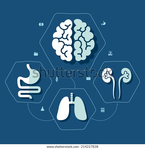 Medical Flat Infographic Stock Illustration 214227838 | Shutterstock