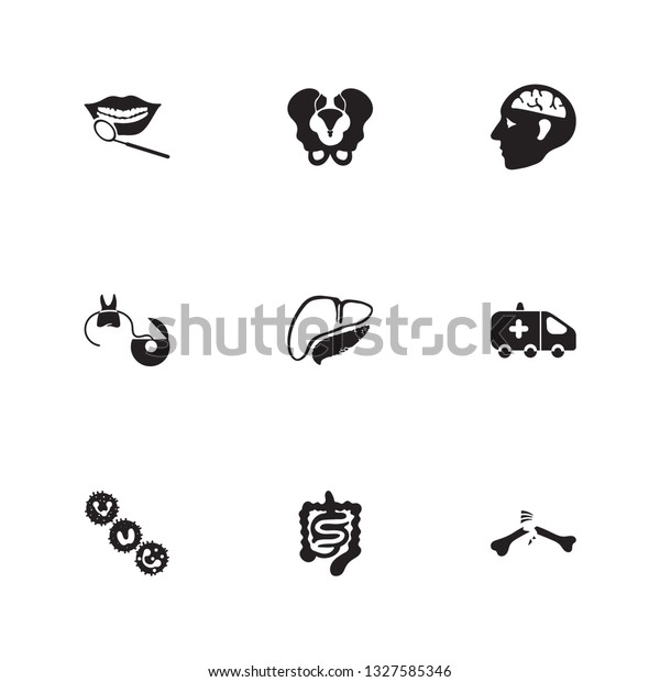 Medical icon set and ambulance with leukocytes,\
neurology and pancreas. First aid car related medical icon  for web\
UI logo design.