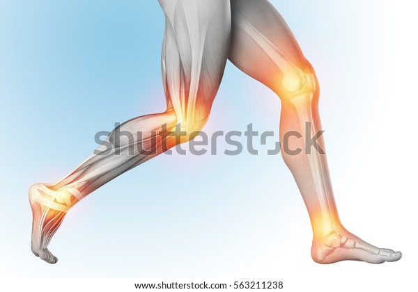 解剖学的に透明なビューでの脚の痛みの医療イラスト 別々のパーツを示すスケルトン マッスル 3dレンダリング のイラスト素材