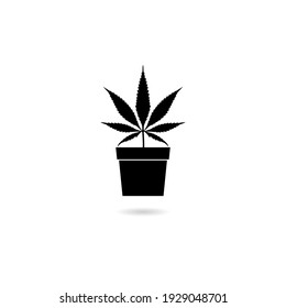 Medical Marijuana Or Cannabis Plant In Pot Icon With Shadow