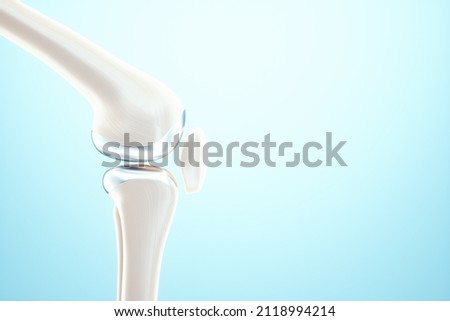 Medical poster image of the bones of the knee, the joint in the knee. Arthritis, inflammation, fracture, cartilage,. Copy space, 3D illustration, 3D render ストックフォト © 