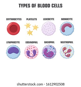 6,004 Neutrophil Images, Stock Photos & Vectors | Shutterstock