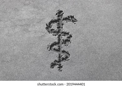 Medical symbol, Rod of Asclepius, Asclepius Insignia, rugged, silver background