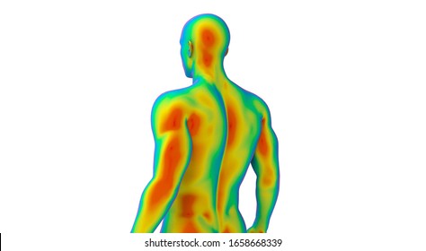 Medical thermal imaging of human male torso, back left view, realistic 3D Illustration, isolated on the white background.
