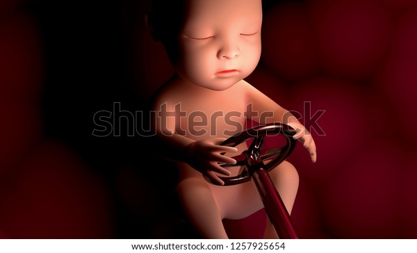 Medical visualization,\
representation of a fetus driving with the steering wheel of a car\
in hand in the maternal uterus, abstract, conceptual, 3d\
illustration