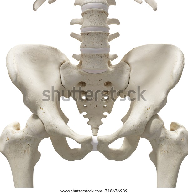 Medically Accurate 3d Rendering Hip Sacrum Stock Illustration 718676989 ...