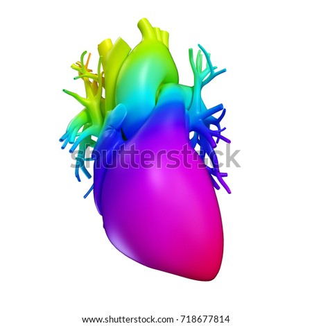 medically accurate 3d rendering of a rainbow heart
