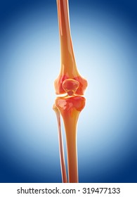 medically accurate illustration of the knee joint