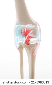 5,229 Knee infection Images, Stock Photos & Vectors | Shutterstock