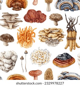 Medicinal mushrooms seamless pattern