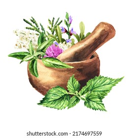 Plantas medicinales en mortero. Medicina alternativa, recolección de hierbas. Ilustración de acuarela dibujada a mano aislada en fondo blanco