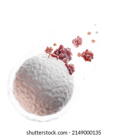 Medicine Scientific Concept, Cellular Level Under Microscope, White Blood Cells Are Destroyed  , 3D Rendering, 3D Illustration