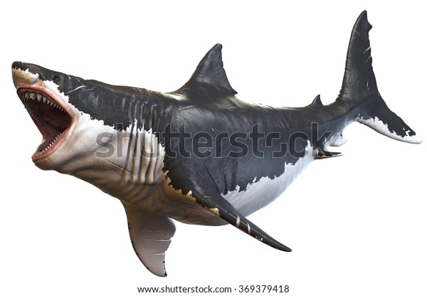 Megalodon Stock Illustration