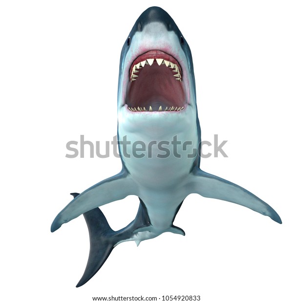 Illustration 3d Du Profil Du Front Illustration De Stock Illustration 3d Du Profil Du Front Illustration De Stock