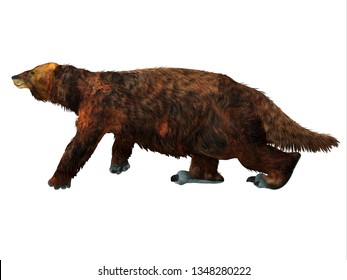 Megatherium High Res Stock Images Shutterstock