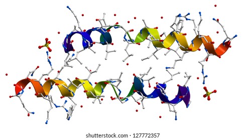 Melittin, The Principal Active Component Of Apitoxin (bee Venom). 3D Structure