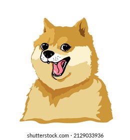 Meme Doge Shiba Inu Coin On White Background