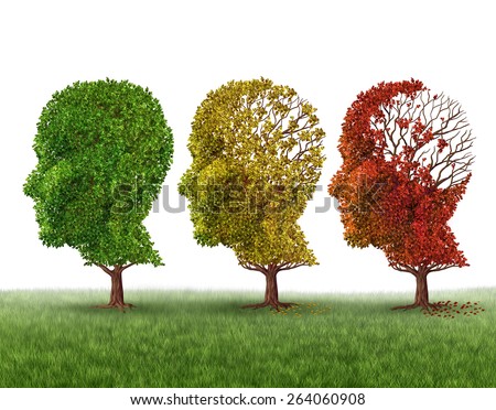Memory loss and brain aging due to dementia and alzheimer's disease as a medical icon of a group of color changing autumn fall trees shaped as a human head losing leaves on a white background. Stock photo © 