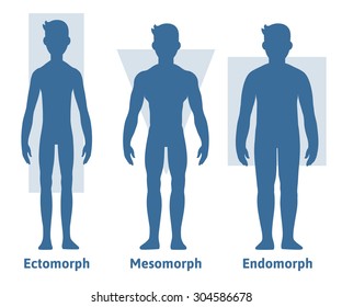 endomorphic body shape men