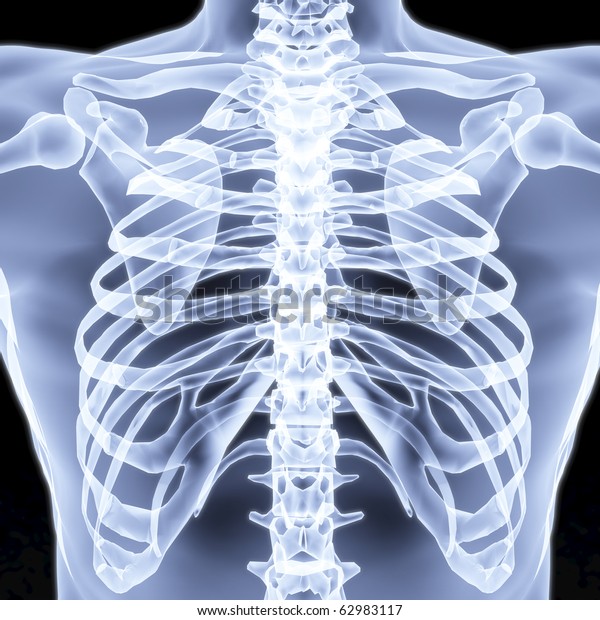 Men\'s chest X-rays under.\
3d image.
