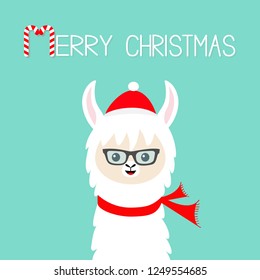 Merry Christmas. Llama Alpaca Baby Face Wearing Sun Glassess. Santa Red Hat, Scarf. Happy New Year. Cute Cartoon Funny Kawaii Character. Greeting Card Print. Flat Design. Blue Background. 