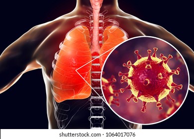 Respiratory Images, Stock Photos & Vectors | Shutterstock