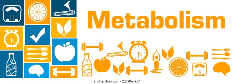 Metabolism Concept Image With Text And Health Related Symbols.