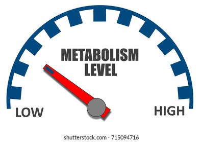 Metabolism Level