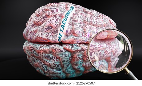 Metacognition in human brain, a concept showing hundreds of crucial words related to Metacognition projected onto a cortex to fully demonstrate broad extent of this condition, 3d illustration