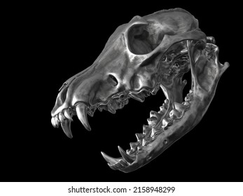Metal wolf skull with open jaws - 3D Illustration