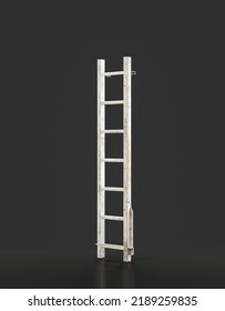 Metallic Isolated Extension Ladder, 3d Rendering, Nobody