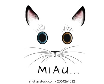 Miau Cat. Little Cat With Big Eyes.